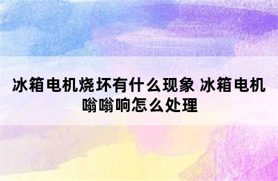 冰箱电机烧坏有什么现象 冰箱电机嗡嗡响怎么处理